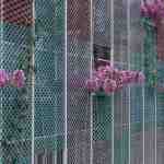  thumbnail no. 14 ofPolymer and spice factory project, designed by Kambiz Moshtaq
