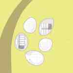  thumbnail no. 8 ofShahre sukhte new museum project, designed by Kambiz Moshtaq