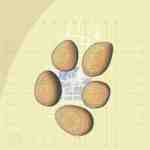  thumbnail no. 13 ofShahre sukhte new museum project, designed by Kambiz Moshtaq