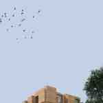 thumbnail no. 3 ofkandovanpars complex Alt3 project, designed by Kambiz Moshtaq