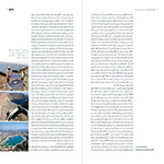  thumbnail no. 4 project, designed by Kambiz Moshtaq ofIdentity and Territorial challenges project, designed by Kambiz Moshtaq